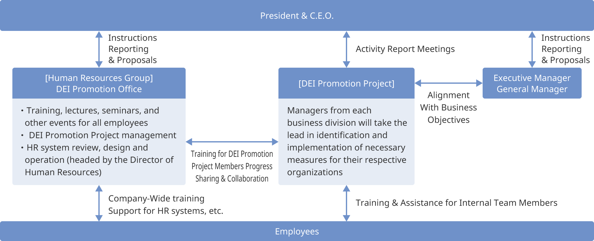 DEI Promotion Framework